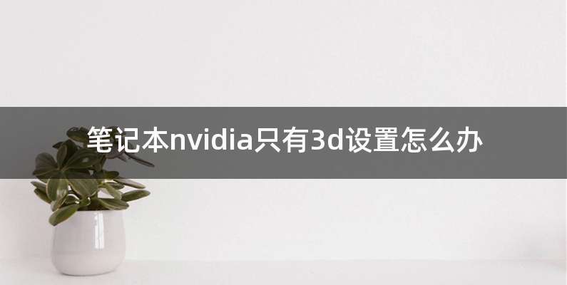 笔记本nvidia只有3d设置怎么办