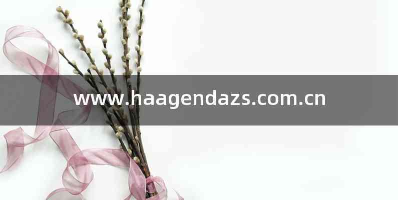 www.haagendazs.com.cn