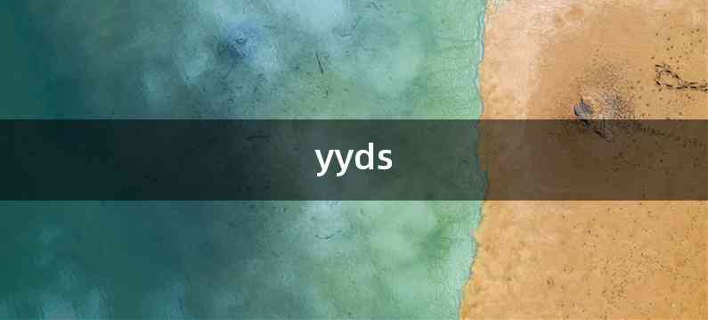 yyds