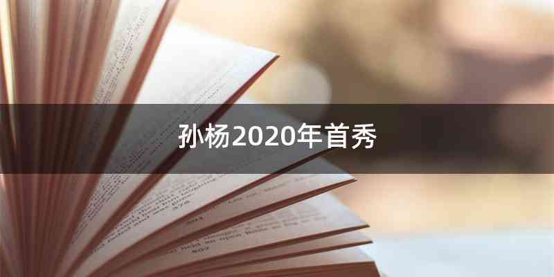 孙杨2020年首秀