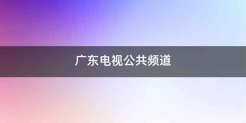 广东电视公共频道